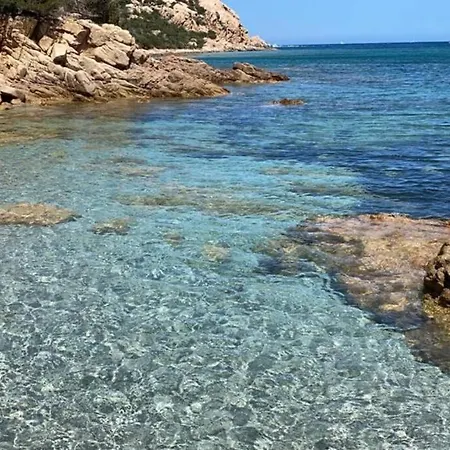Ampio appartamento a 15 min dal mare e 10 da Olbia Appartamento *