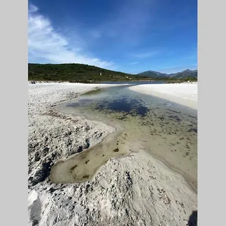 Appartamento Ampio appartamento a 15 min dal mare e 10 da Olbia Biaxi