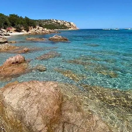 Ampio appartamento a 15 min dal mare e 10 da Olbia Appartamento