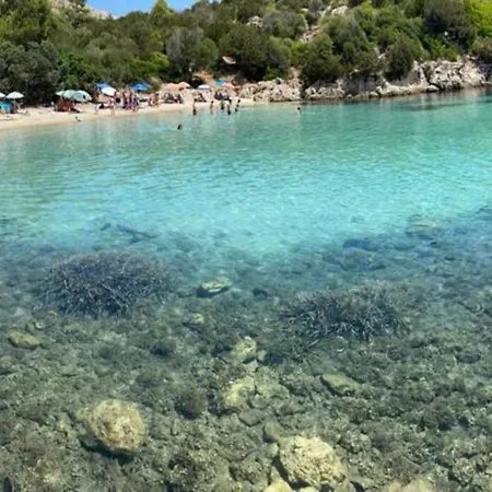 Ampio appartamento a 15 min dal mare e 10 da Olbia Appartamento Biaxi