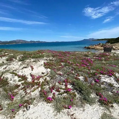 Appartamento Ampio appartamento a 15 min dal mare e 10 da Olbia