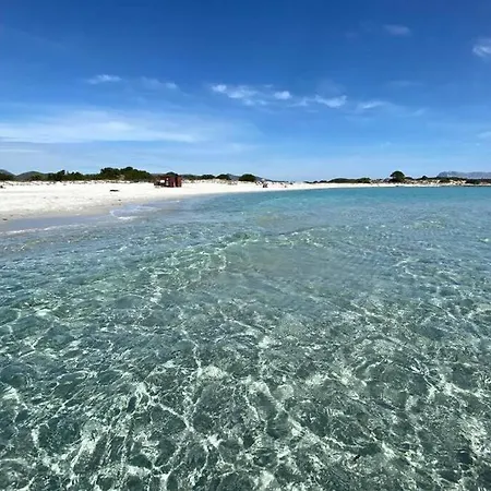 Appartamento Ampio appartamento a 15 min dal mare e 10 da Olbia Biaxi