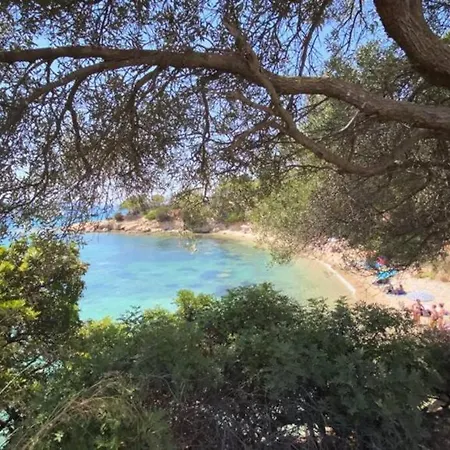 Appartamento Ampio appartamento a 15 min dal mare e 10 da Olbia Biaxi