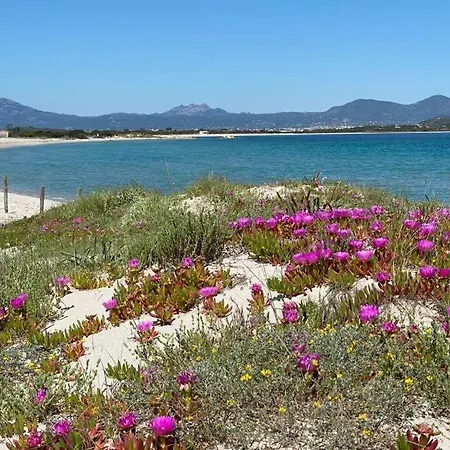 Appartamento Ampio appartamento a 15 min dal mare e 10 da Olbia Biaxi